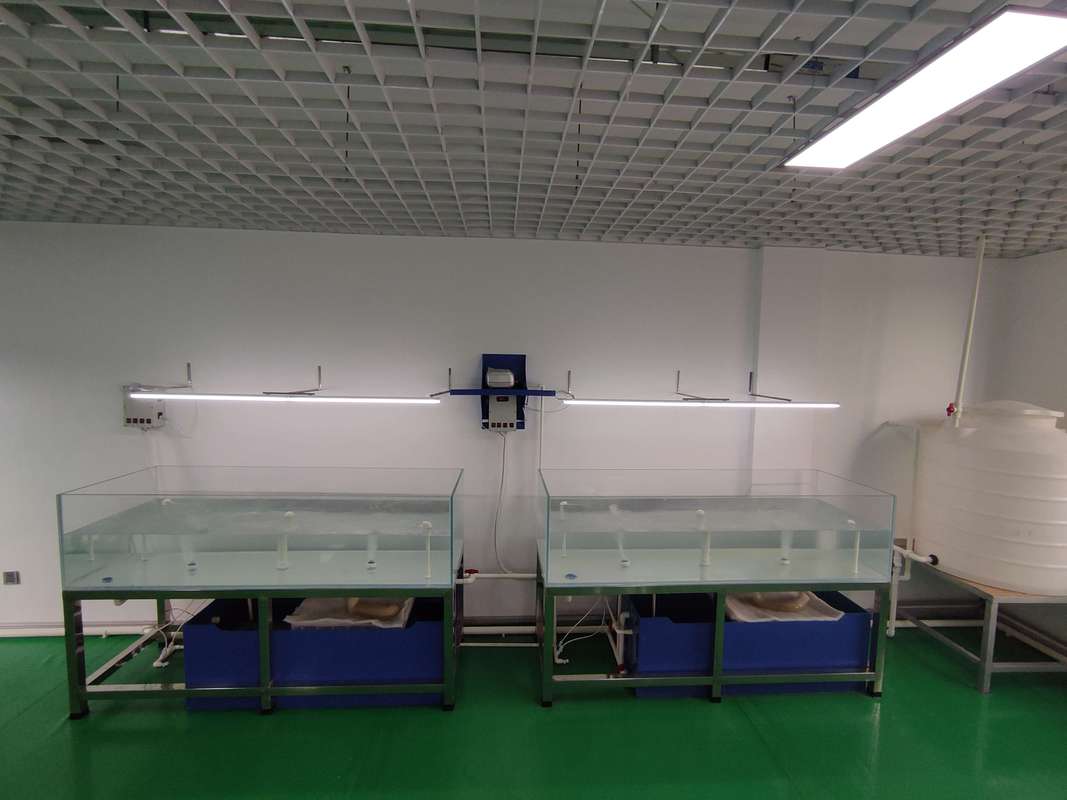 水产饲料实验工厂设备研发与应用 推动饲料加工技术创新